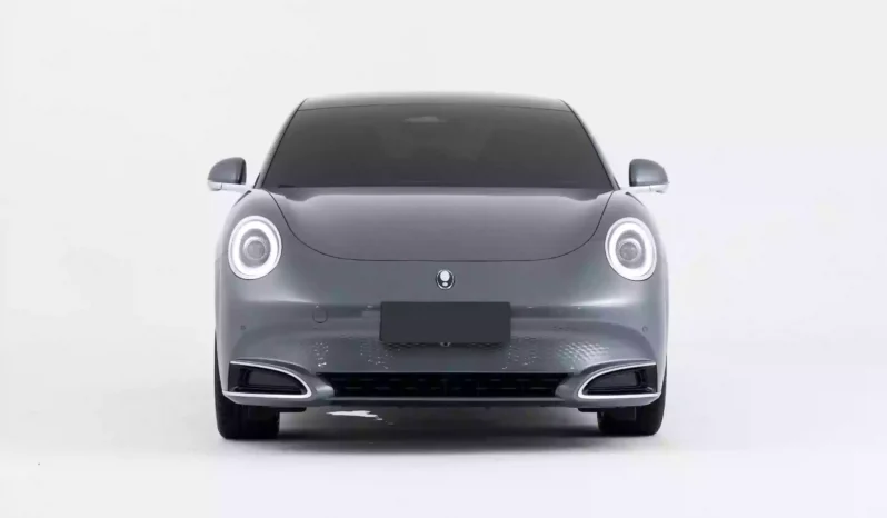 
								GWM Ora Lightening Cat full									