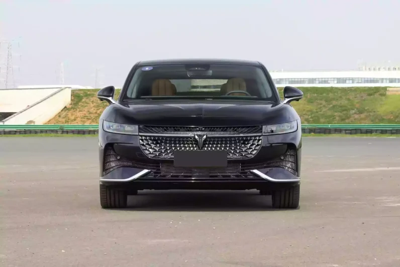 
								Voyah Passion PHEV full									