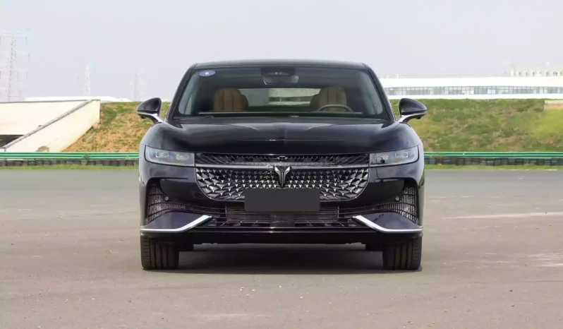 
								Voyah Passion PHEV full									