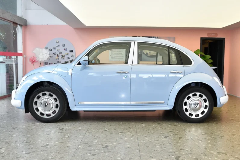 
								GWM Ora Ballet Cat full									