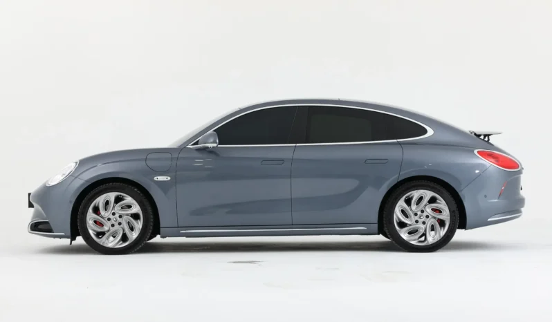 
								GWM Ora Lightening Cat full									