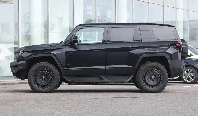 
								M-Hero 917 REEV full									