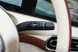 
										GWM Ora Ballet Cat full									