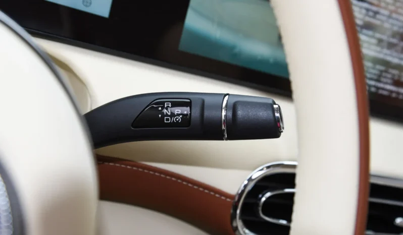 
								GWM Ora Ballet Cat full									