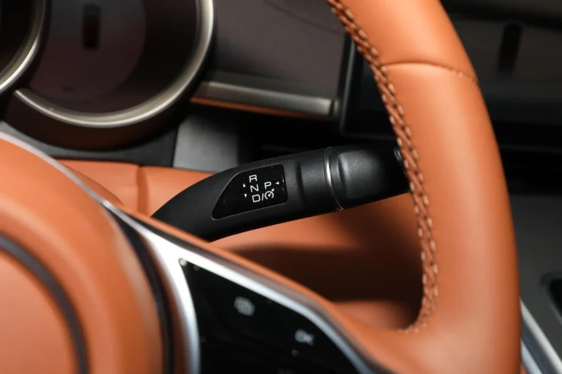 
								GWM Ora Lightening Cat full									