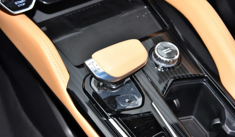 
								Geely Monjaro Zhiqing full									