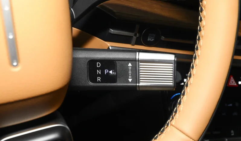 
								Hyundai Santa Fe full									