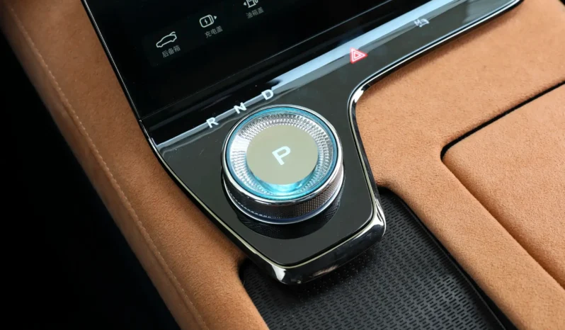 
								Voyah Passion PHEV full									